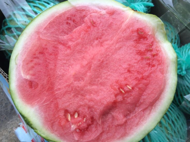 麒麟西瓜全国_批发_供应-一亩田农业网_专业的