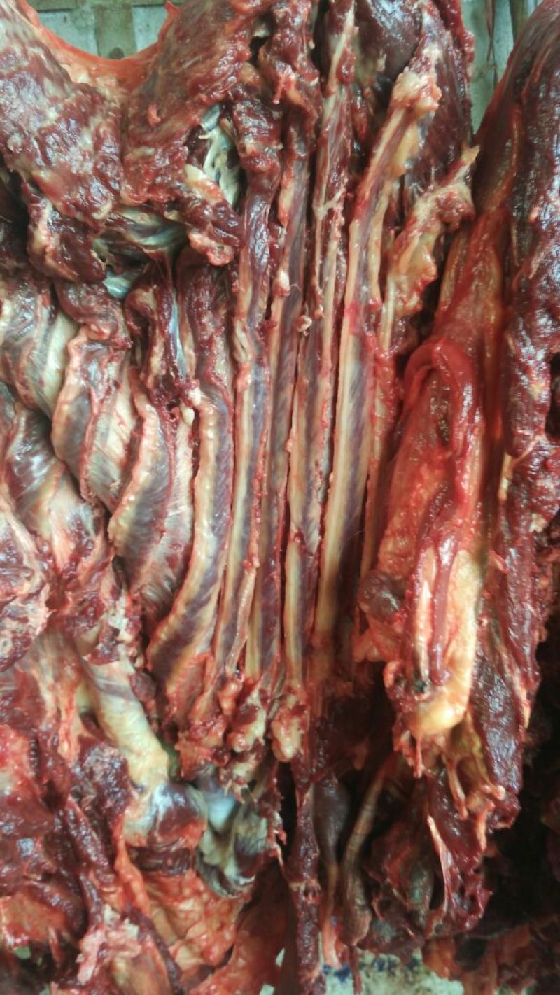 驴肉鲜货