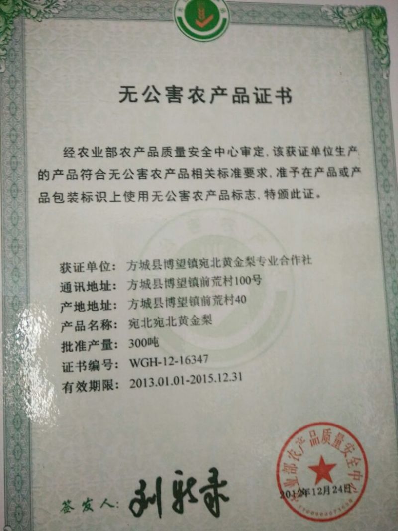 黄金梨200~250g纸袋