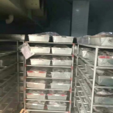 翘嘴鳜20~30cm食用冻鱼