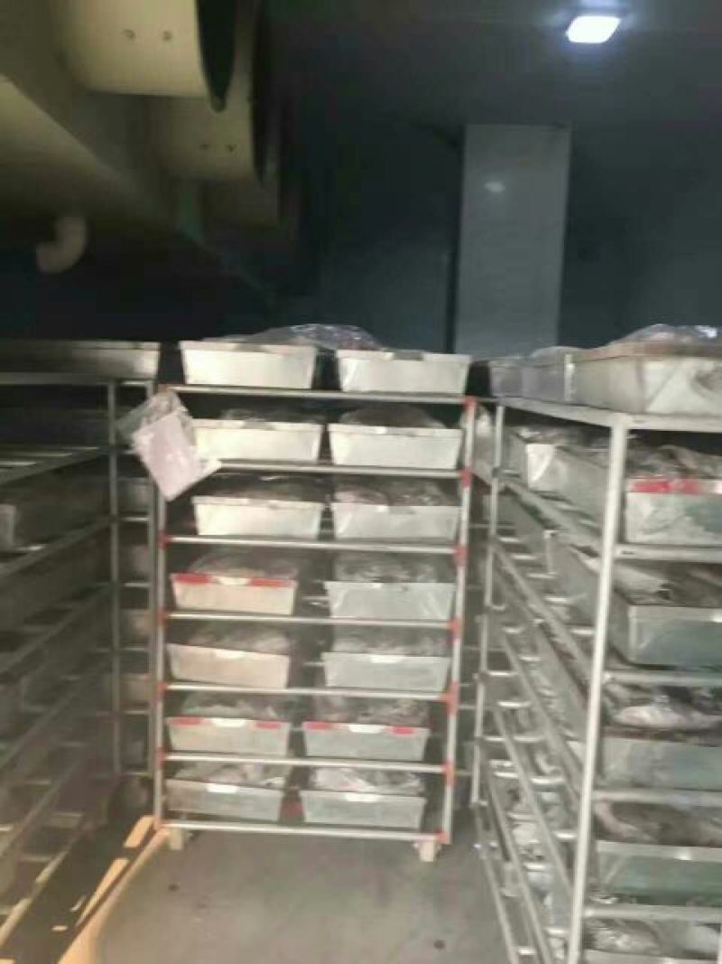 翘嘴鳜20~30cm食用冻鱼