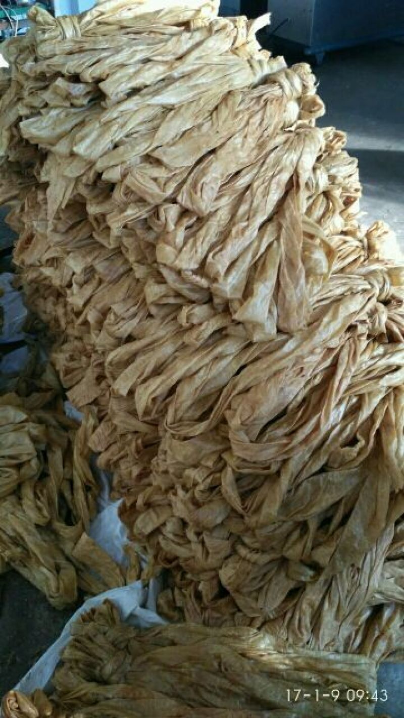豆皮湿