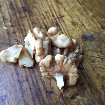 薄皮核桃