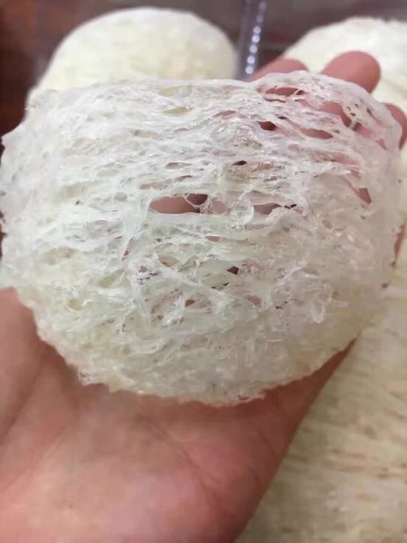 优选燕窝印度尼西亚石板上燕子用体内的物质做出来的燕窝