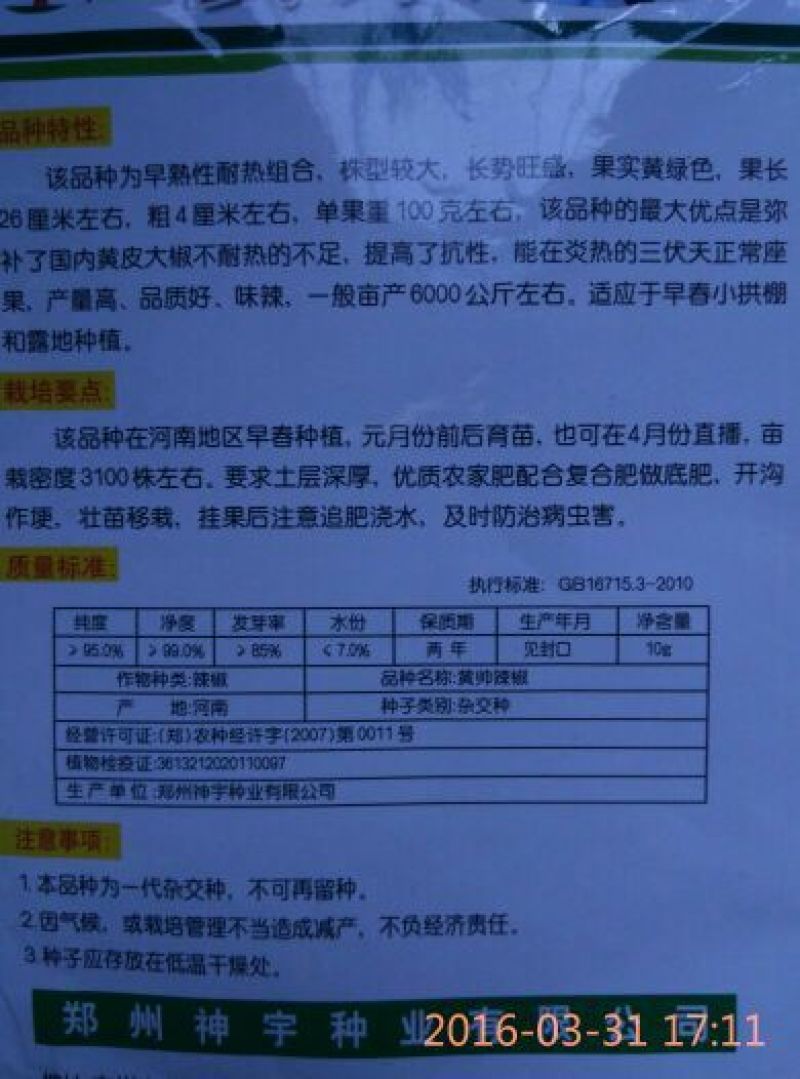 辣椒苗