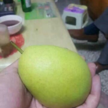 长把梨200~250g纸袋