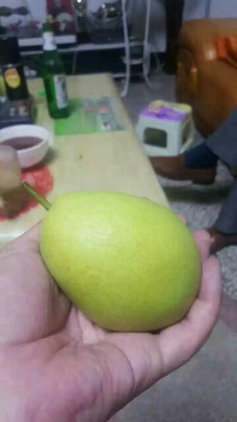 长把梨200~250g纸袋