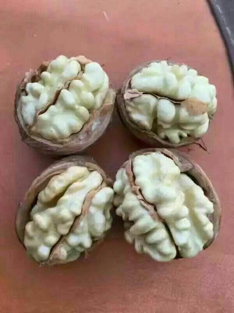 纸皮核桃去皮干