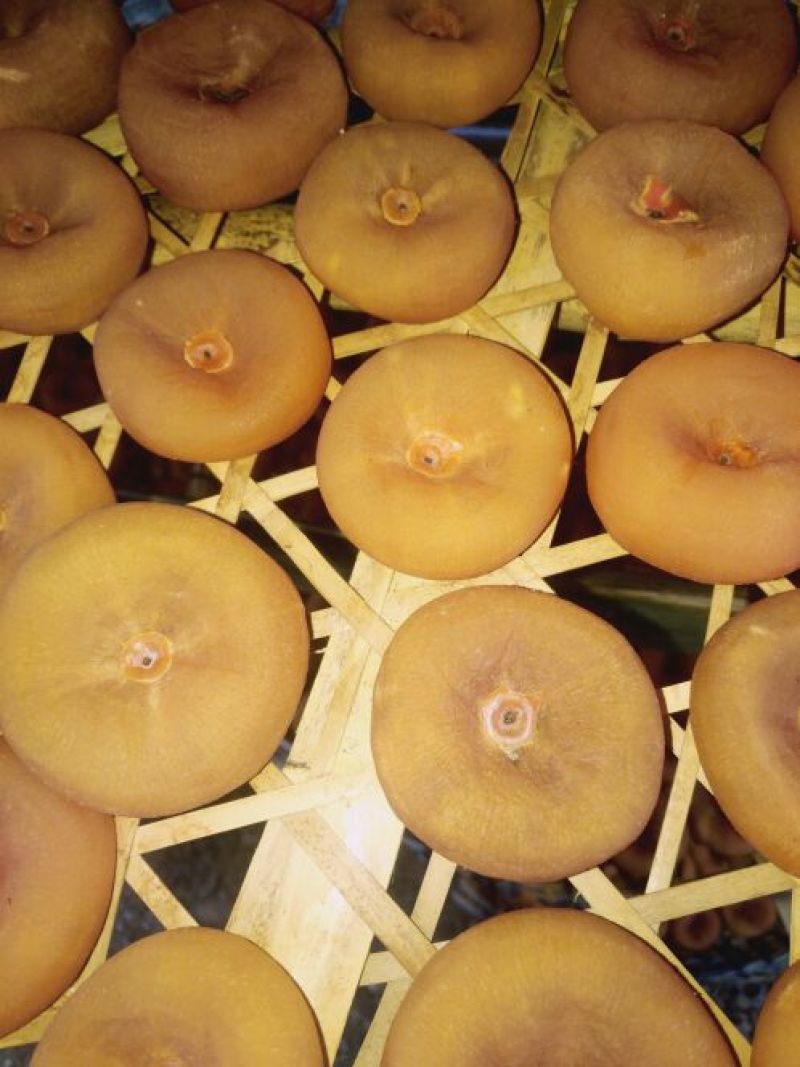 柿饼1~2两