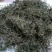 白花蛇舌草