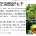 梨300~350g纸箱