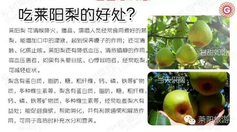 梨300~350g纸箱