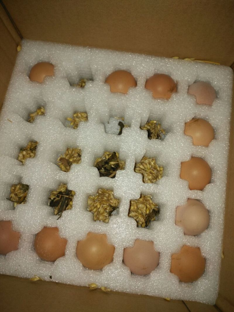 土鸡蛋食用40~50g