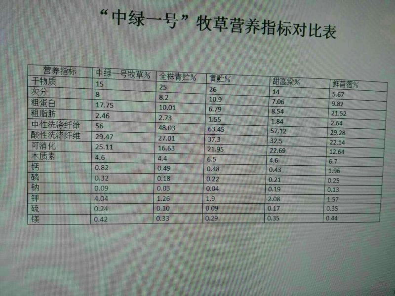青杆发酵饲料