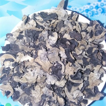 干木耳一级