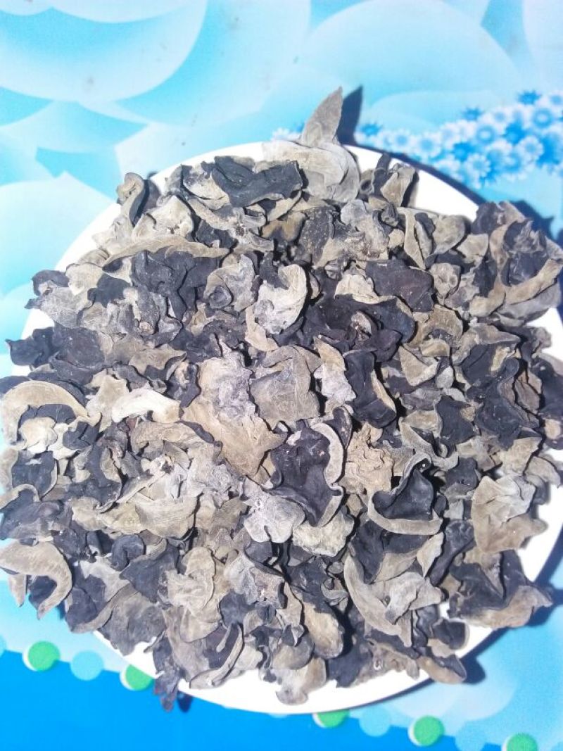 干木耳一级