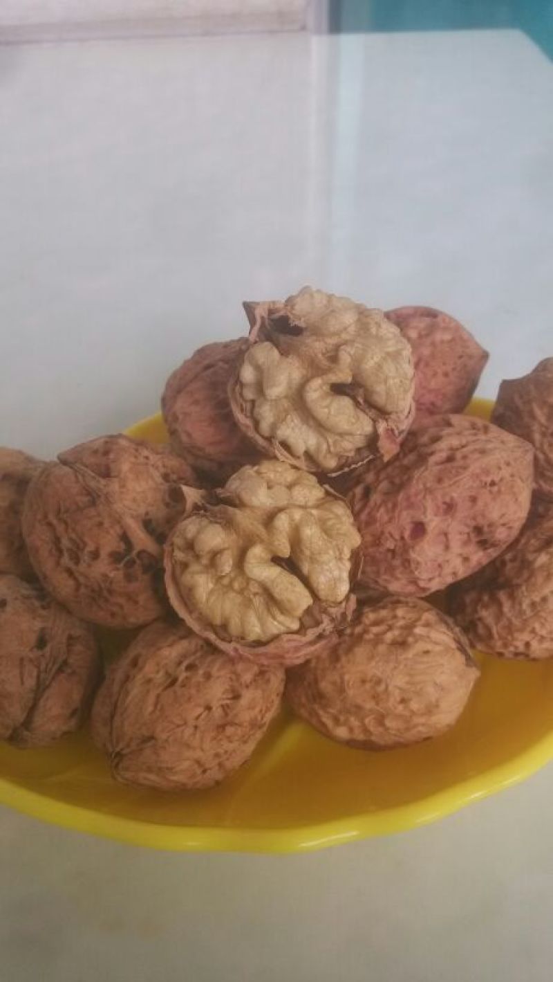 薄皮核桃