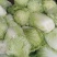 大白菜4~6斤，M5白菜，毛净都有