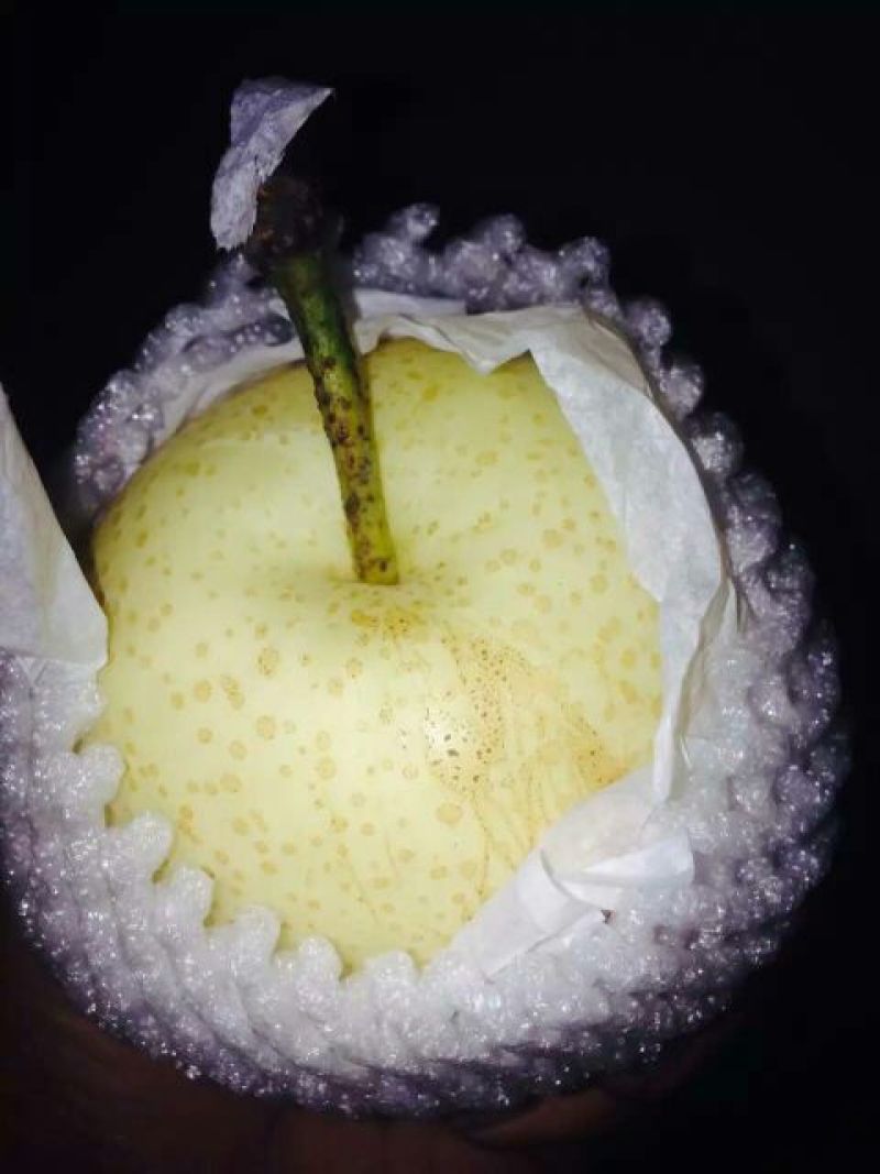 雪花梨200~250g纸箱