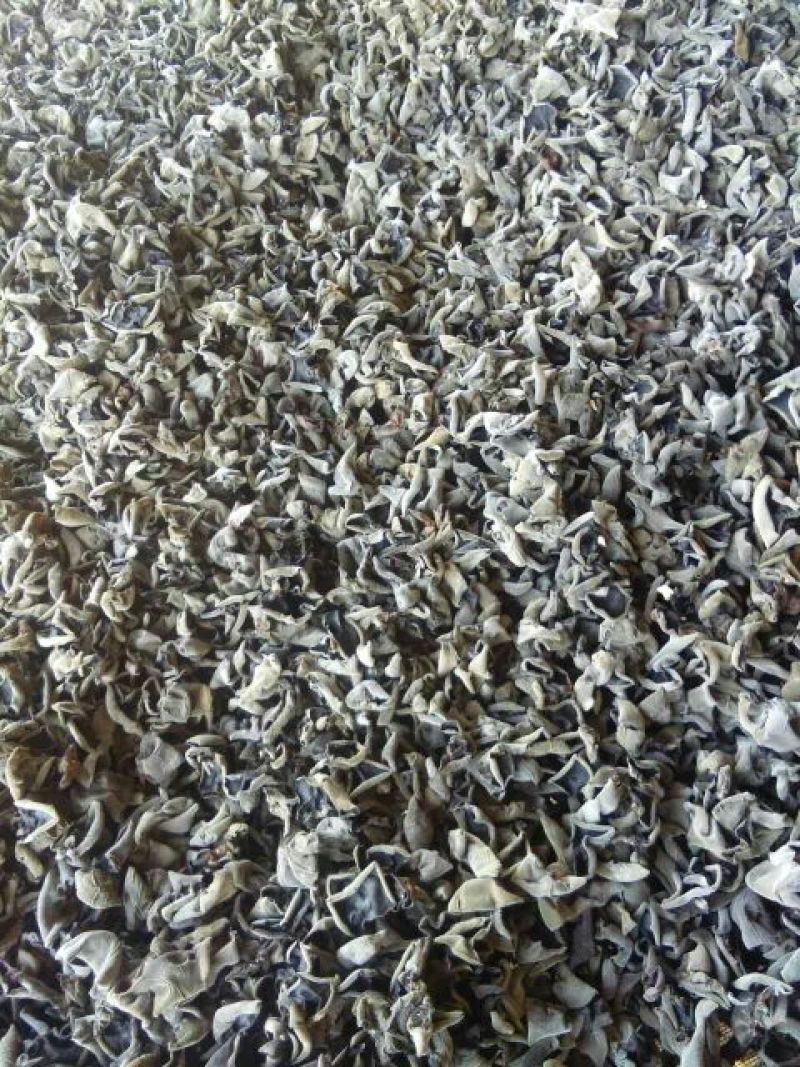 干木耳一级