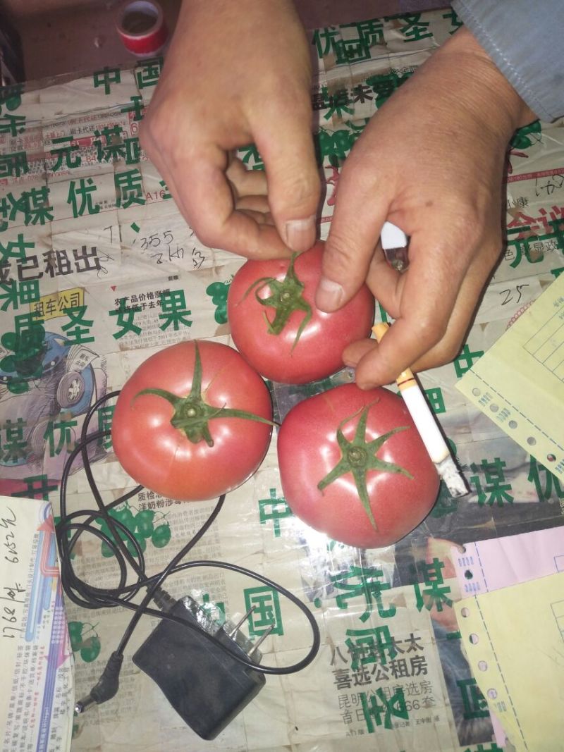 硬粉西红柿硬粉弧三以上