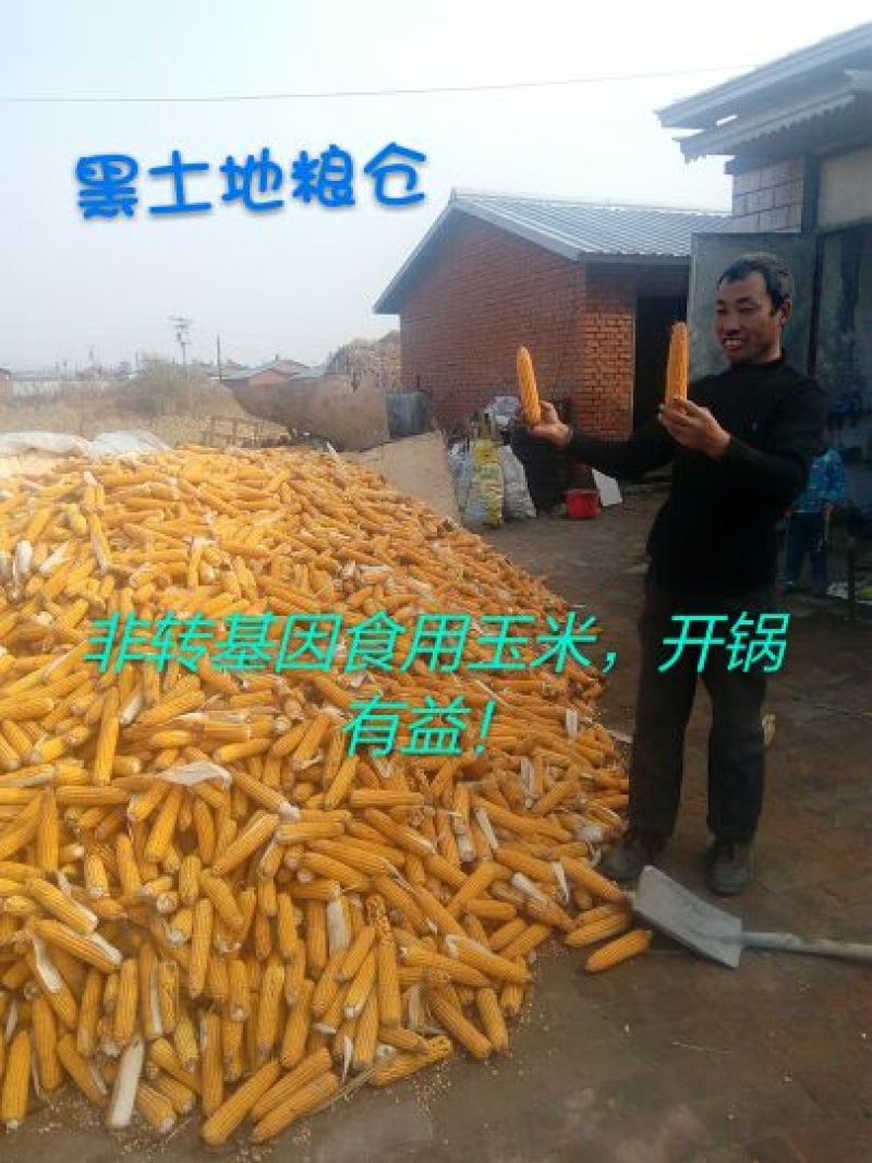 红小豆袋装