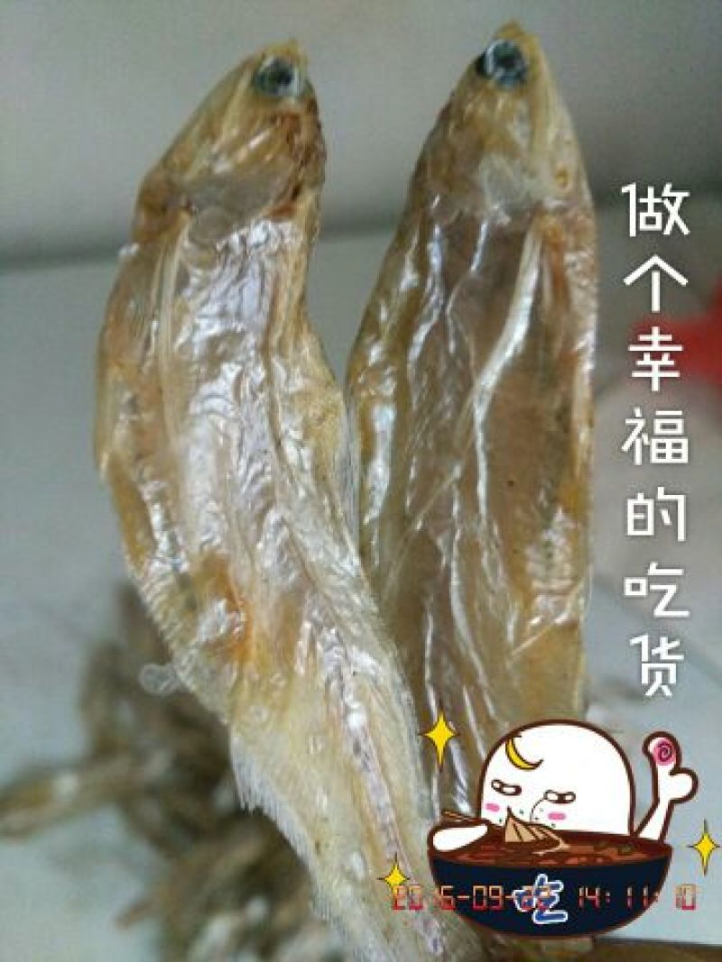 毛花鱼干