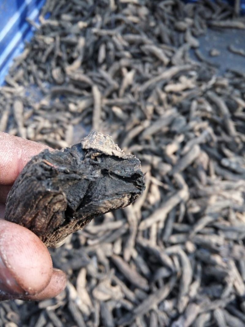 玄参斜片，选装货，符合药典，