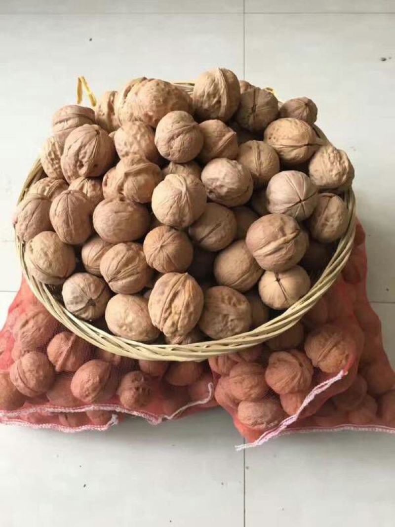 薄皮核桃30mm以上去皮干