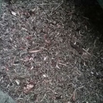 翻白草