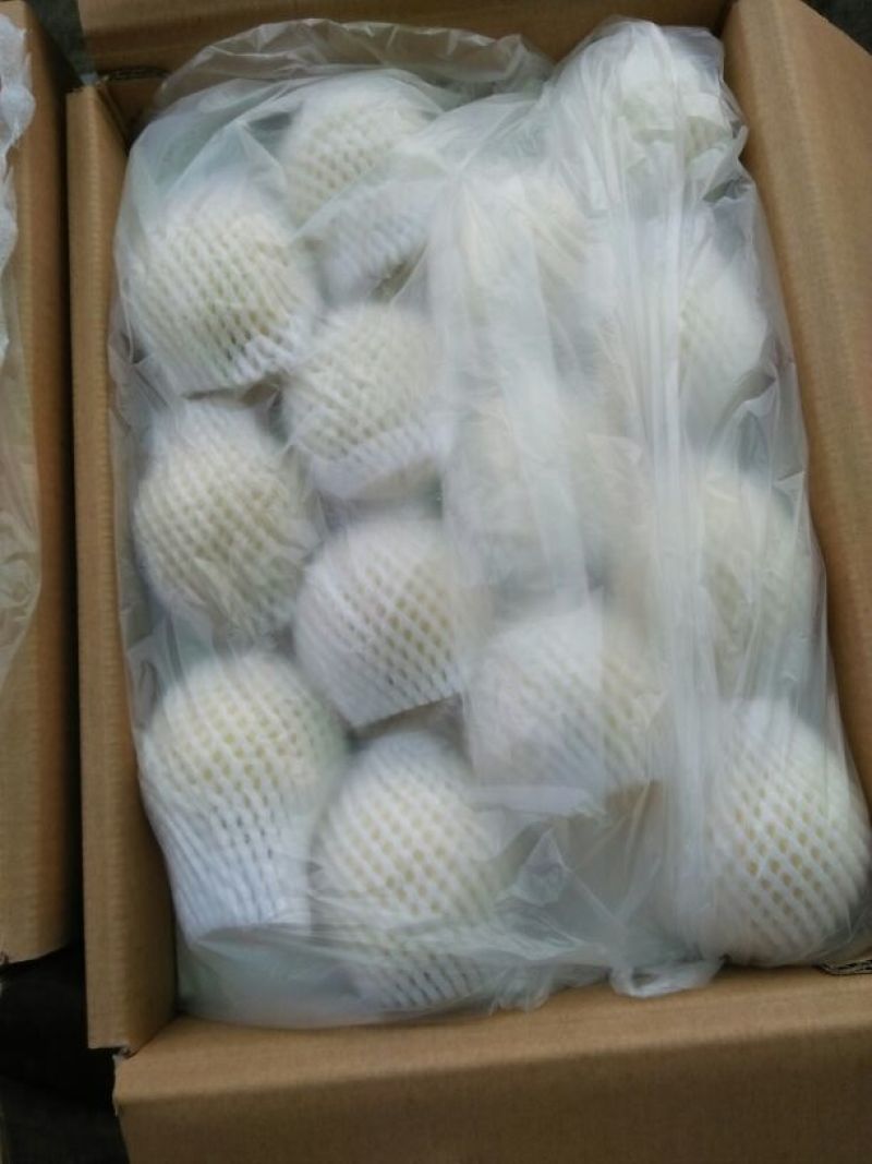 雪花梨600g以上纸箱