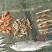 河汊小干鱼