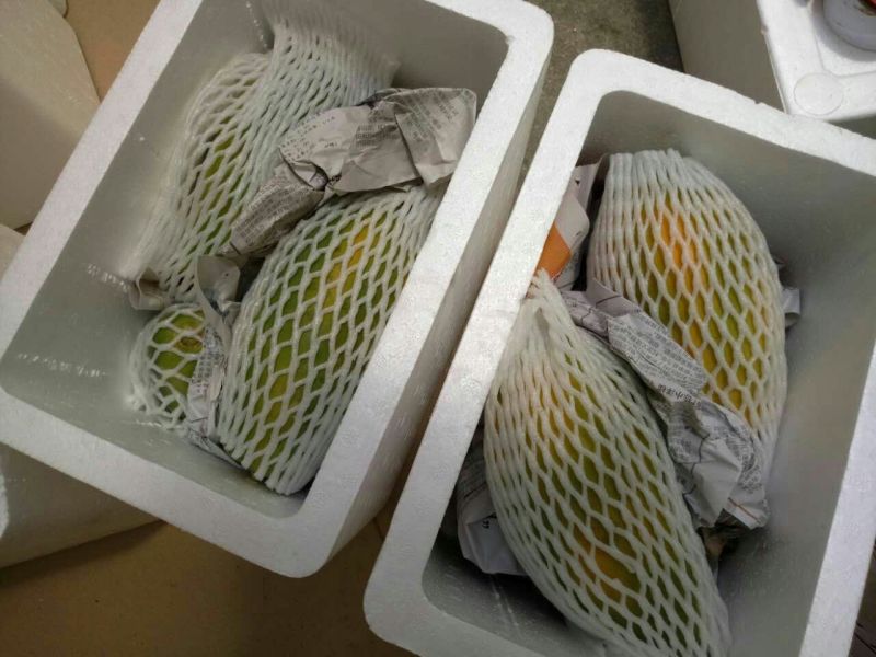 木瓜1.5~2斤