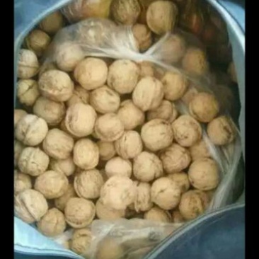 团核桃去皮干