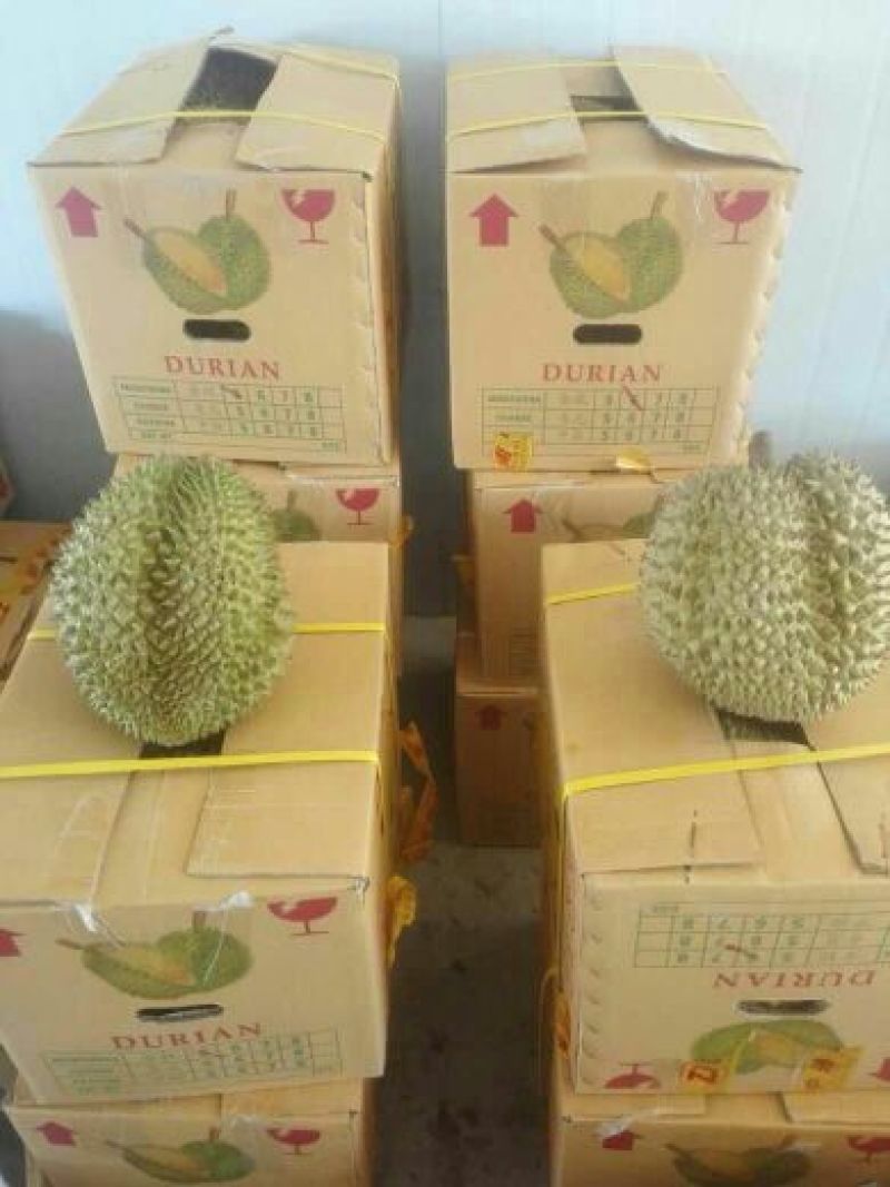 泰国榴莲5~8斤