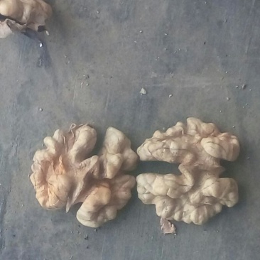 薄皮核桃30mm以上去皮