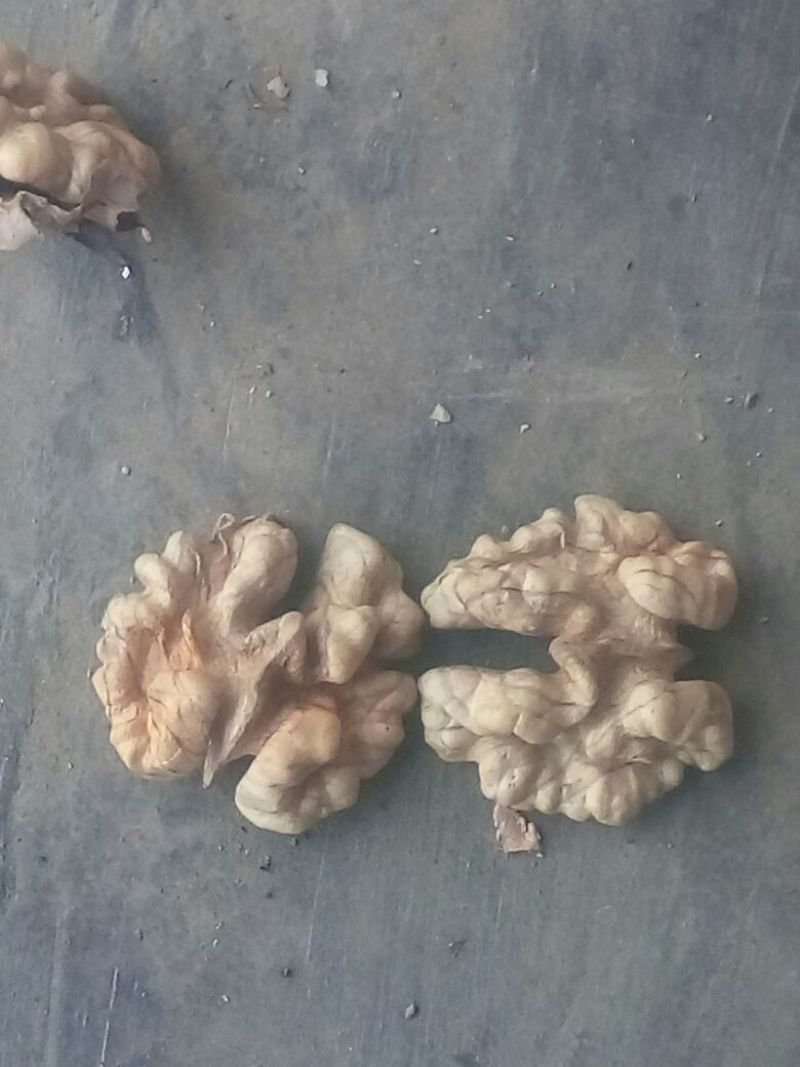 薄皮核桃30mm以上去皮