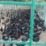 土鸡蛋食用50g以下