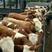 西门塔尔精品青年牛，成年牛，品种齐全，质量保证，欢迎光临