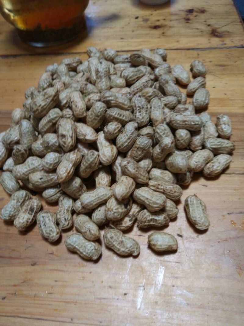 花生鲜货带壳