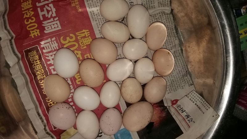 土鸡蛋食用50g以下