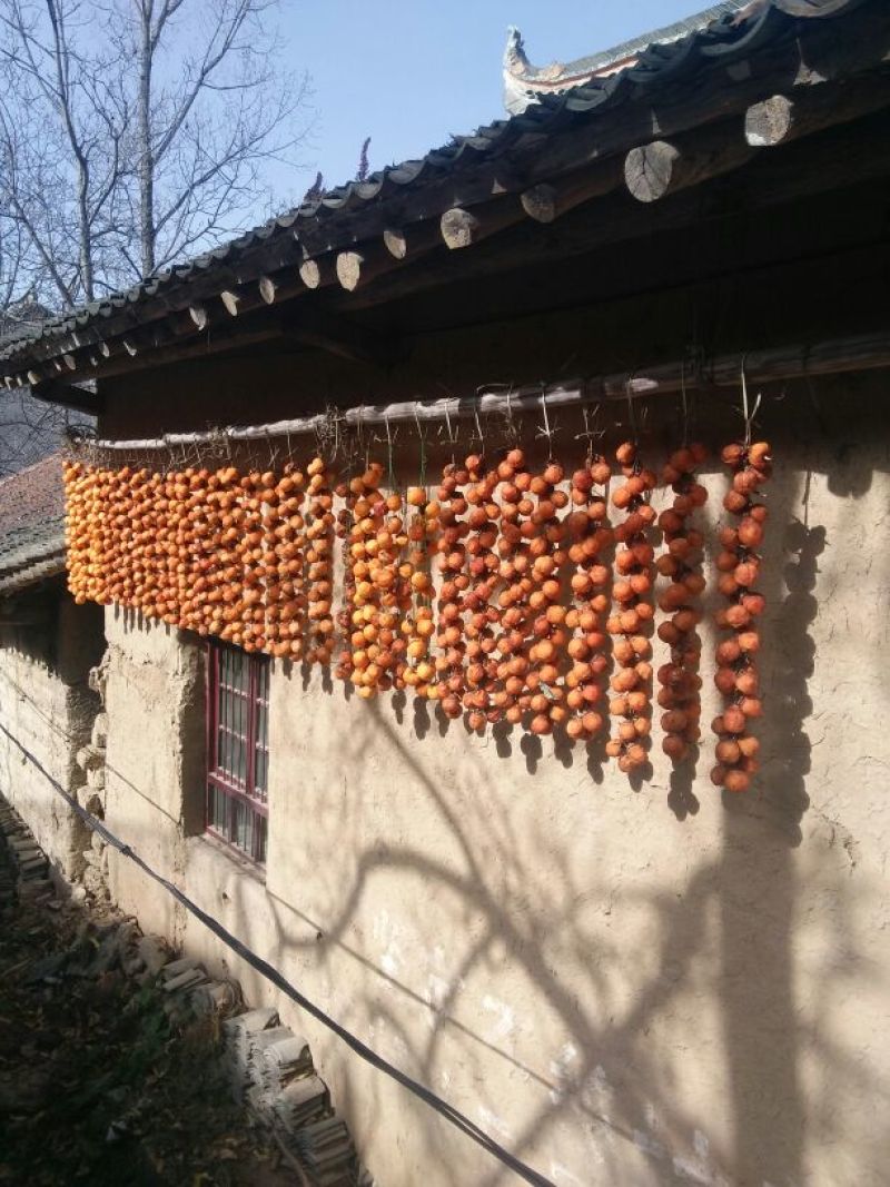 柿饼1两以下