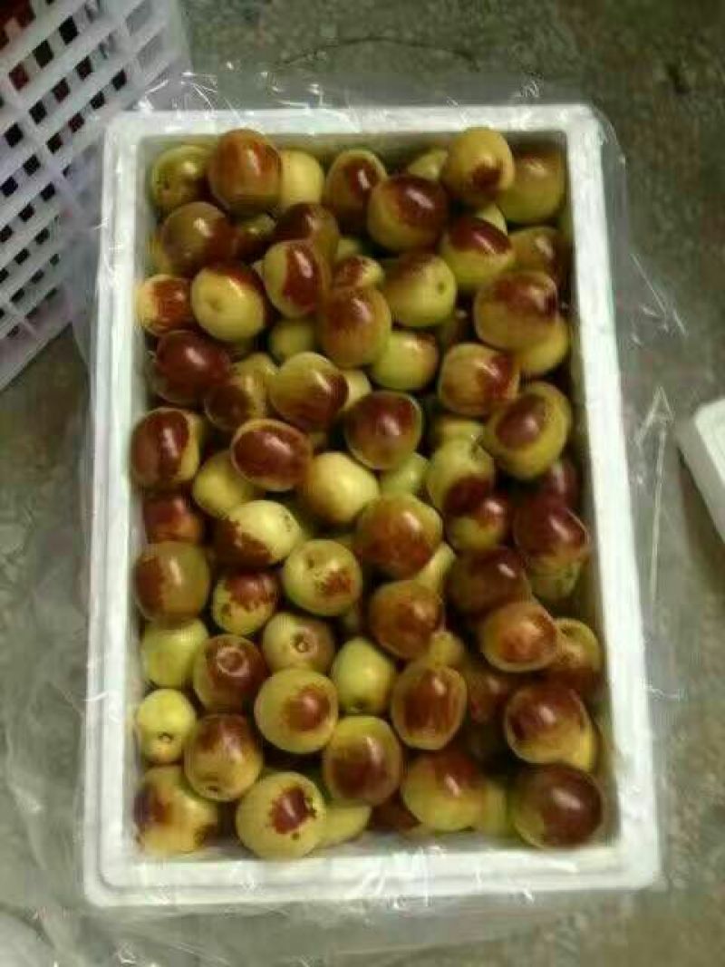 大荔冬枣拐一
