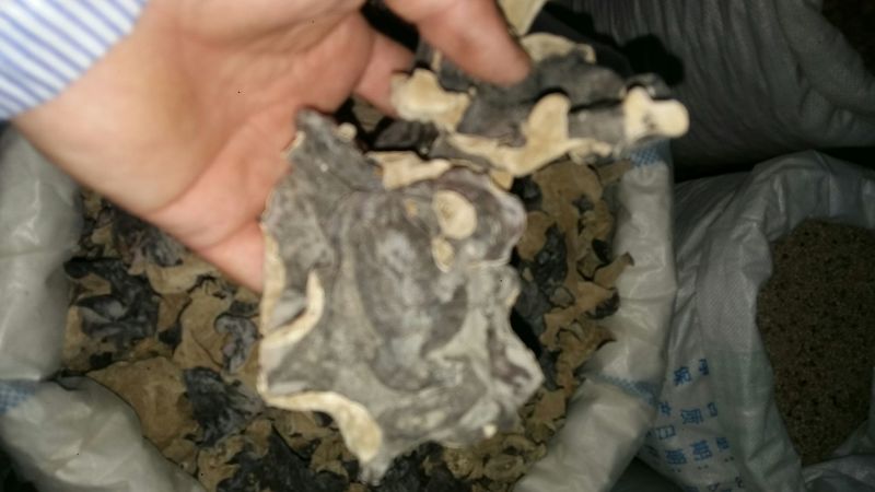 毛木耳一级