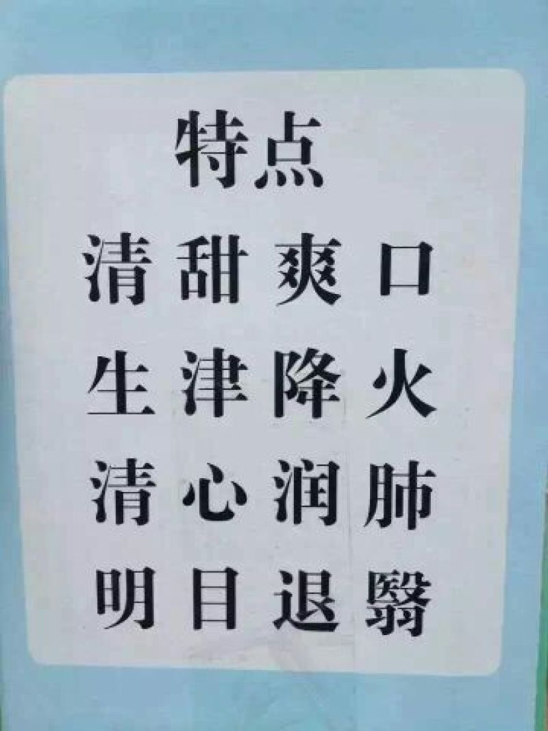 荸荠