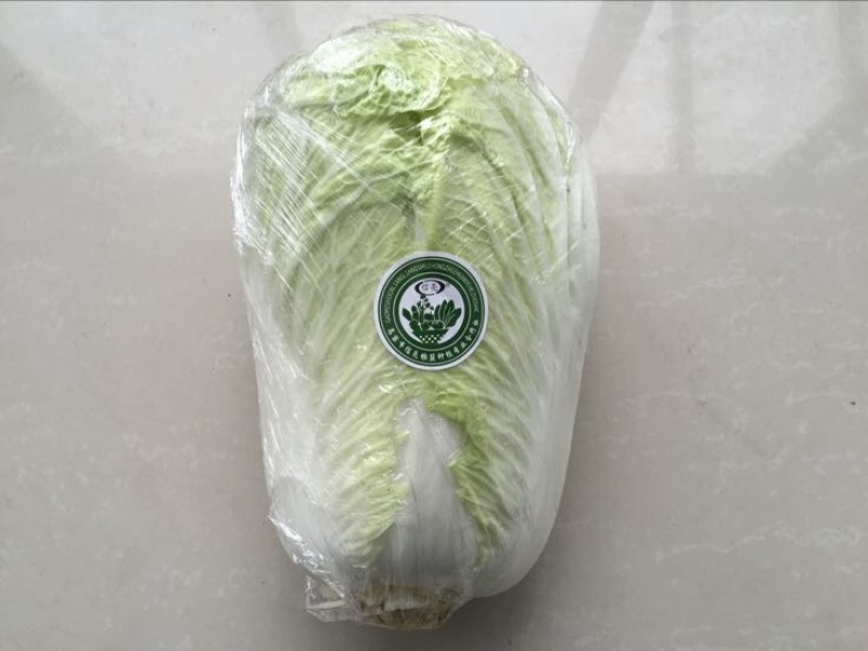 大白菜
