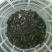 河虾冰鲜虾26~30只/kg