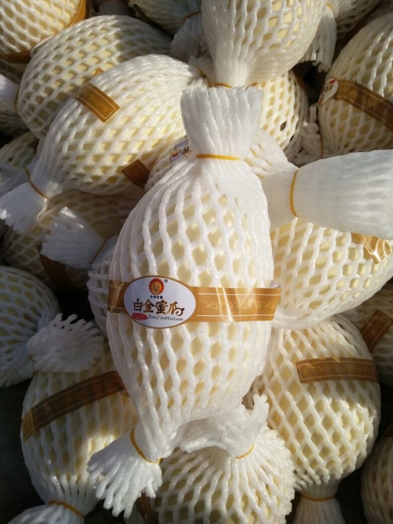 鄯善哈密瓜1斤以上长圆形