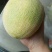 网纹瓜3斤以上长圆形