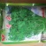 铁杆青中叶香菜种子适合秋冬季储存